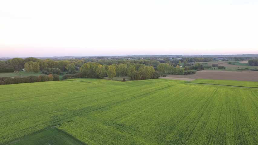 Aerial DesignMaker.be - Visuele inspectie